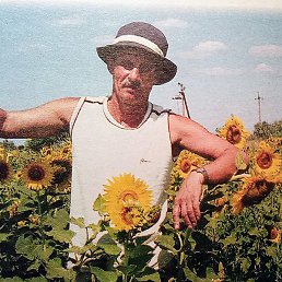 ����������, ������, 61 ���