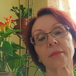 �����, �����-���������, 37 ���