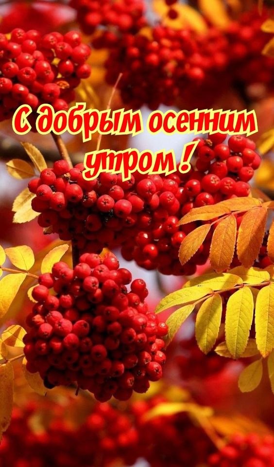   - 6  2023  09:37