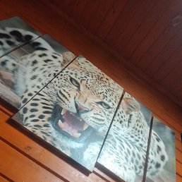 ����, ������, 39 ���