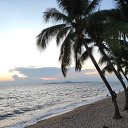 ���� �������, �����-��������� - ��������� 7 ������ 2023 � ������ ������ ��������