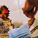 ���� �������, ������ - ��������� 1 ������ 2023 � ������ ���������