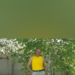 ���������, ������, 54 ����