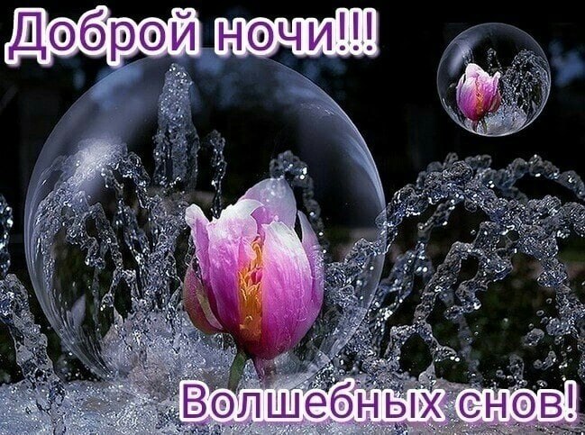   ,    . - 21  2023  20:05