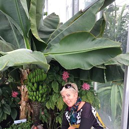 Jana, ����, 64 ����