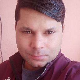 ³��, ������, 41 ���