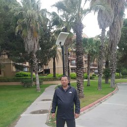 �����, ������, 41 ���