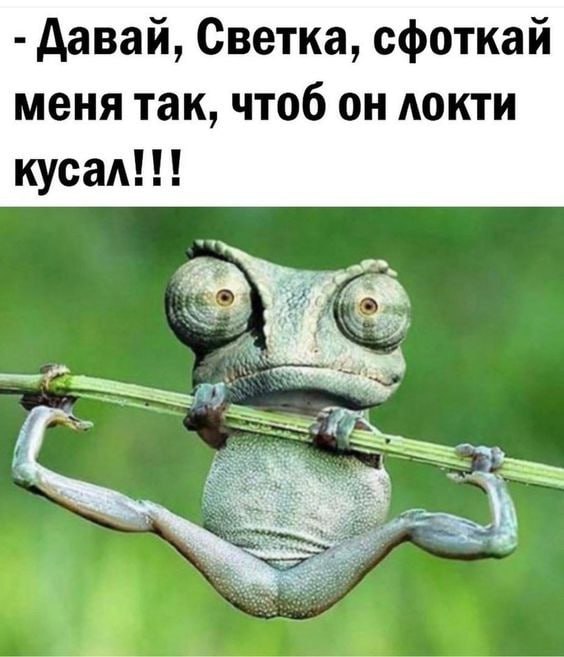  - 10  2023  11:34 - 3