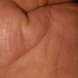 ���� ���, ������, 26 ��� - ��������� 30 ��� 2023