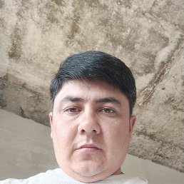 , , 34  -  8  2023