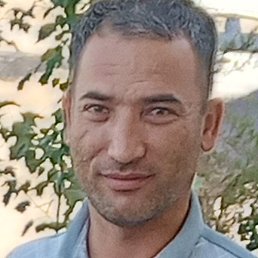 ����, �����, 55 ���