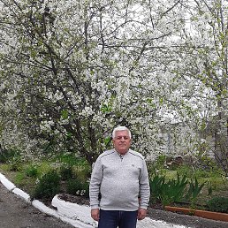 ��������, ������, 66 ���