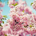 ���� ����, ���������, 45 ��� - ��������� 3 ������� 2023