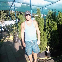 �����, ������������, 44 ����