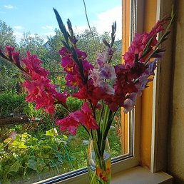 ����, ������ ��������, 53 ����