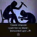 ���� ��������, ������, 44 ���� - ��������� 10 �������� 2023