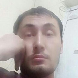 ����������, �����, 33 ����