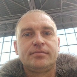 ���������, ����-���������, 43 ����