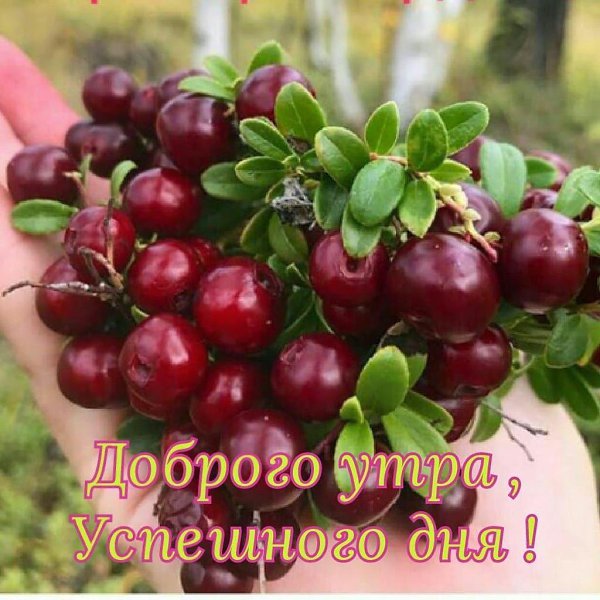***Victoria Viktorovna*** - 16  2023  04:34