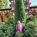 ���� �����, �������, 61 ��� - ��������� 15 ���� 2023 � ������ ���� ����������