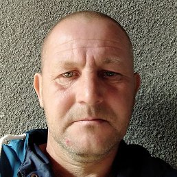 ����, �������, 41 ���