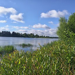 �����, ������, 38 ���