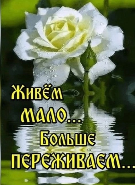 , , , ,  .-    .    ...