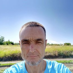 , , 54 