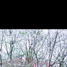 Tuslan, ����, 49 ���