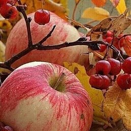 ���� ������, ������, 53 ���� - ��������� 18 �������� 2023