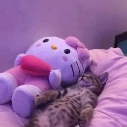 �����, �����������, 26 ���