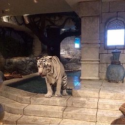 ���� ����, ������, 27 ��� - ��������� 7 ���� 2023