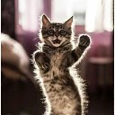 ���� �������, ������ ��������, 35 ��� - ��������� 17 ������ 2023