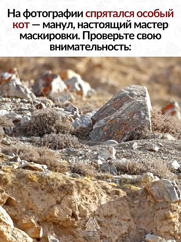        ,  .
