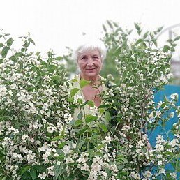 �������, �����������, 69 ���