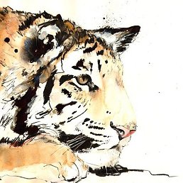 ������, ������, 43 ����