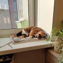 ���� ��������, ���������, 60 ��� - ��������� 17 ����� 2023