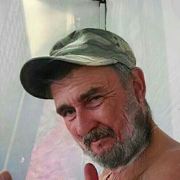 ���, ���������, 41 ���