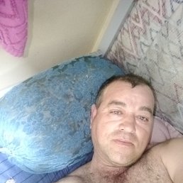 , 43 ,  