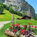 ���� ��������, �����, 39 ��� - ��������� 22 ����� 2023