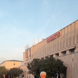 ���� ������, �������������, 63 ���� - ��������� 27 ��� 2023