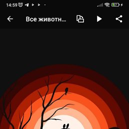 ���� ��������, �����������, 22 ���� - ��������� 31 ���� 2023