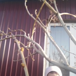 ���� ���������, ������, 68 ��� - ��������� 19 �������� 2023