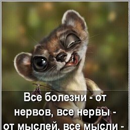  Alex, , 44  -  25  2023