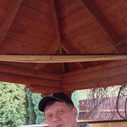 �������, ������, 41 ���