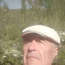 ���� �����, �������, 63 ���� - ��������� 12 ������� 2023