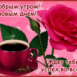 ���� ���, ������, 43 ���� - ��������� 3 ���� 2023