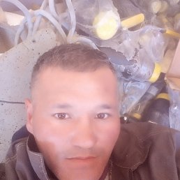 ���� �����, ������, 44 ���� - ��������� 27 ������� 2023