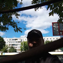 ����, ������, 52 ����