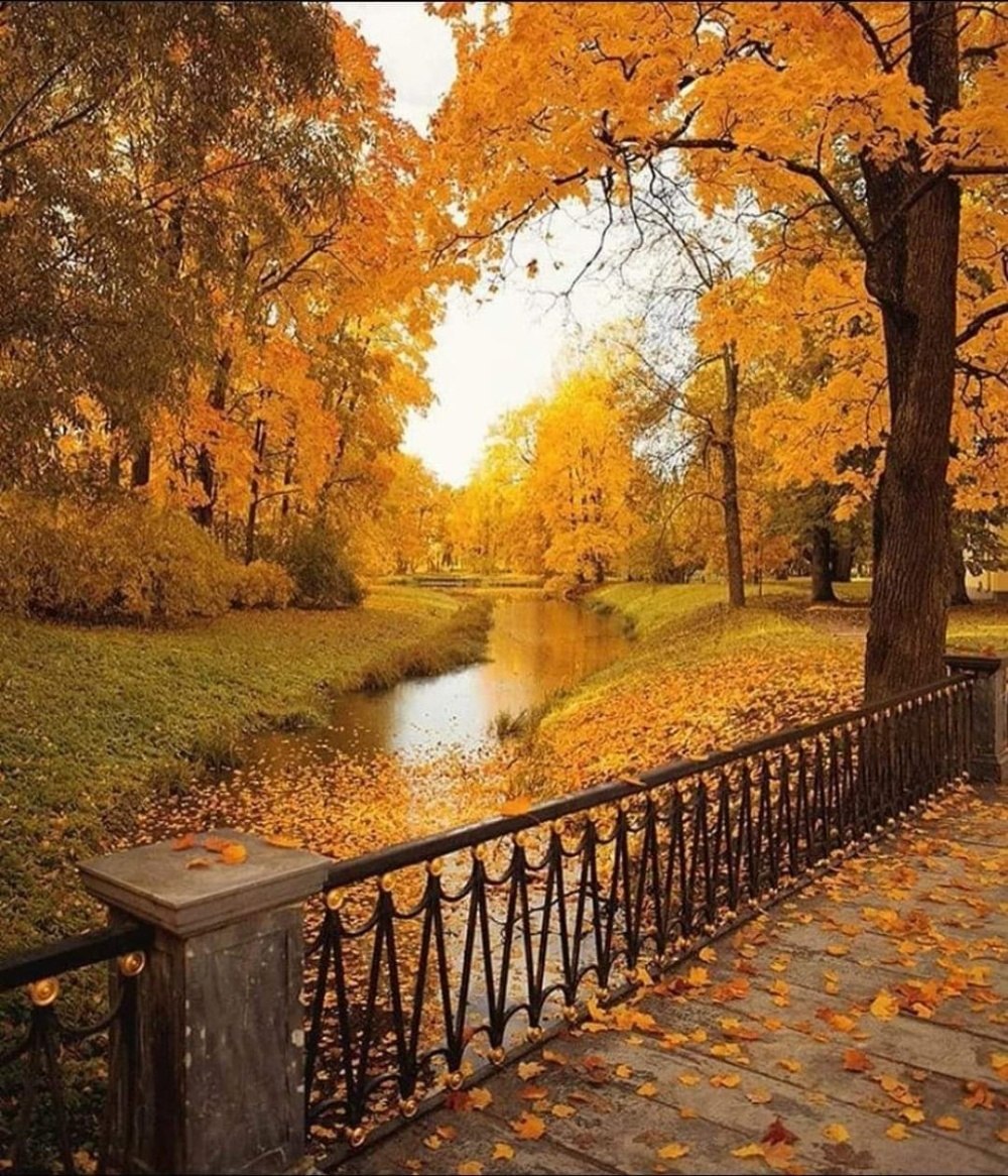   ,   ,      ,      ,  ...